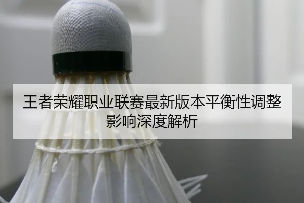 王者荣耀职业联赛最新版本平衡性调整影响深度解析